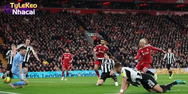 Thông tin đội hình Newcastle vs Liverpool